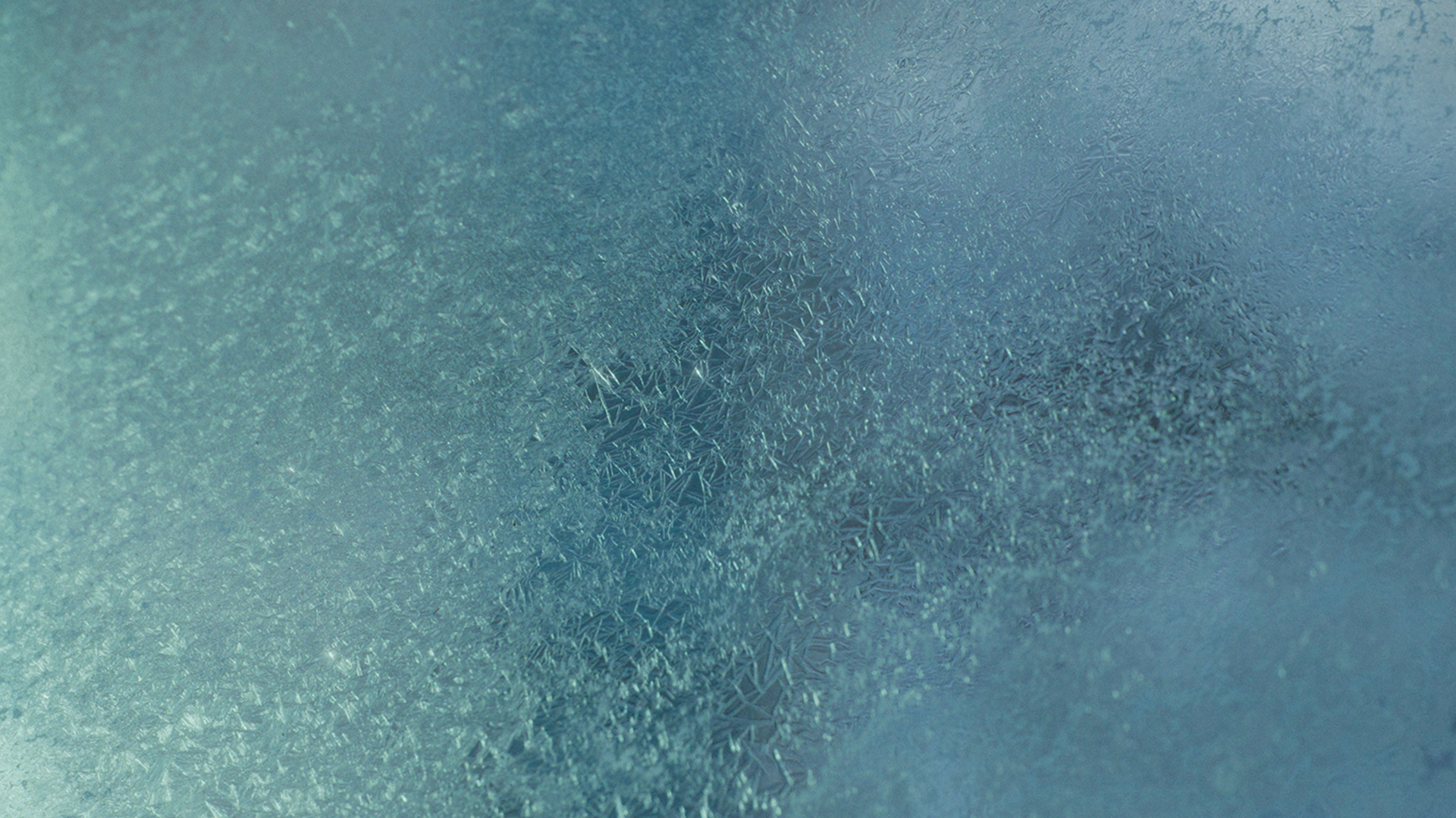 Still of the short film 'Freeze' by Niccolò Donatini, produced by Officine Fare Cinema , Istituto Europeo di Design, distributed by ShortsFit. ShortsFit Distribution. ShortsFit Distribucion. Distribuzione di cortometraggi. Sales agent. Short Films sales agency. Boutique sales agency. ShortFits. Shortsfit.
