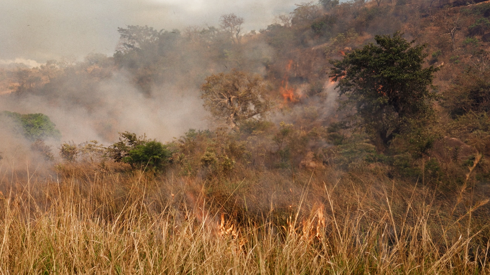 Sunday, giulio tonincelli, moonwalk studio, shortsfit, shortsfit distribution, cortometraggi, cinemaitaliano, africa, film about africa, disability, social stigma, social documentary films